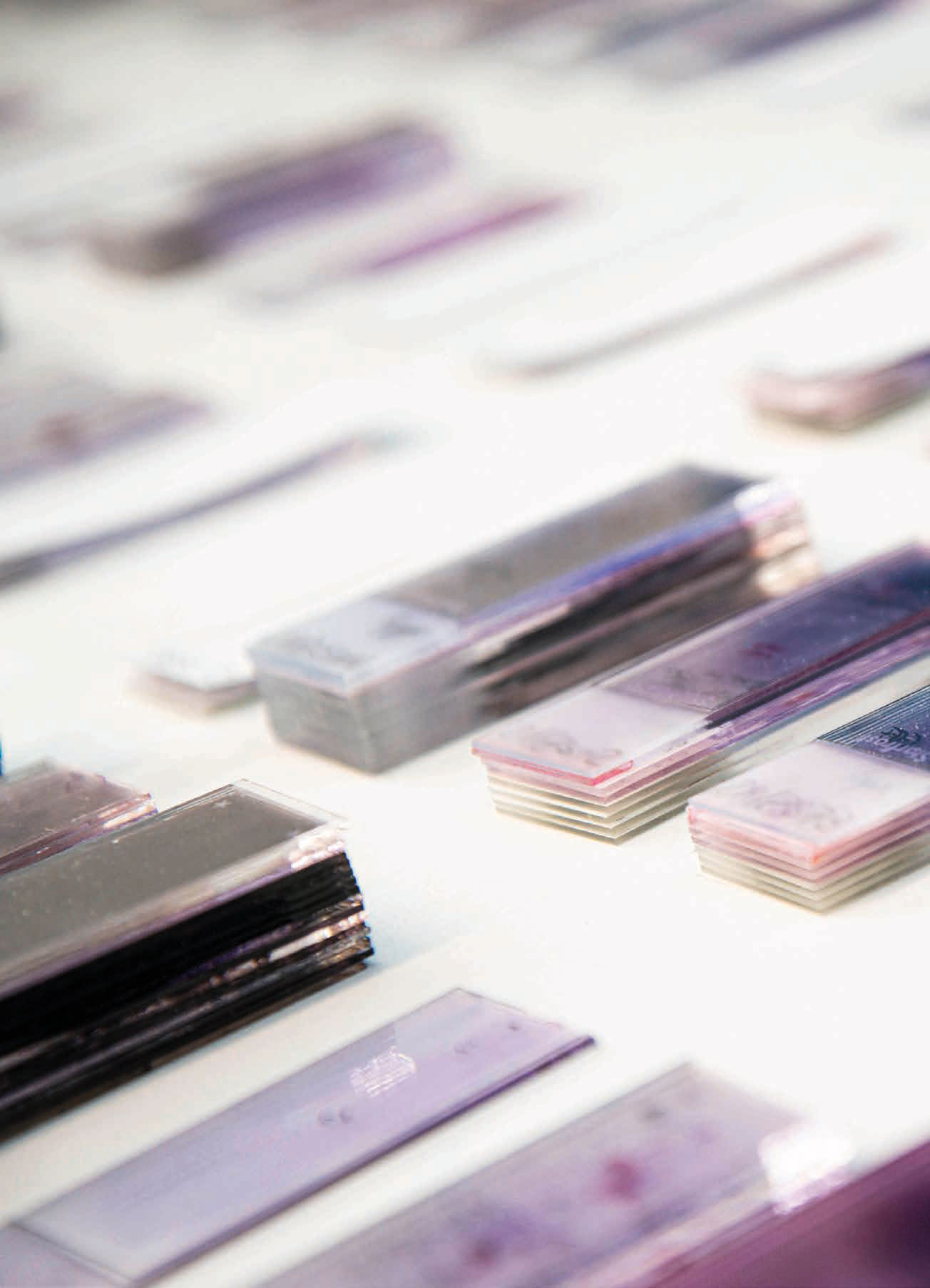 DGP-Broschuere_Fokus_Pathologie_2021-7